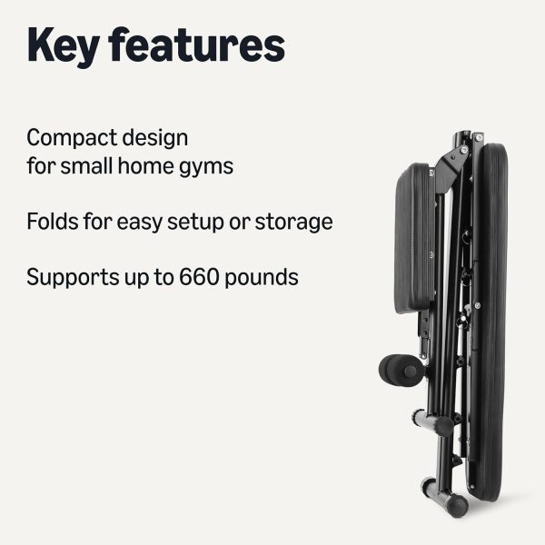 Basics Adjustable Workout Weight Bench Press