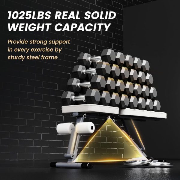 Adjustable Weight Bench for Home Gym,1025 LB Stable Workout Benches for Full Body